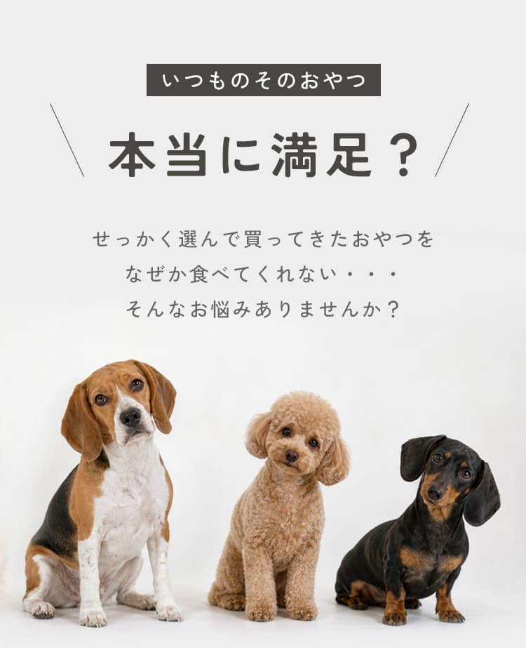 いつものおやつで本当に満足？