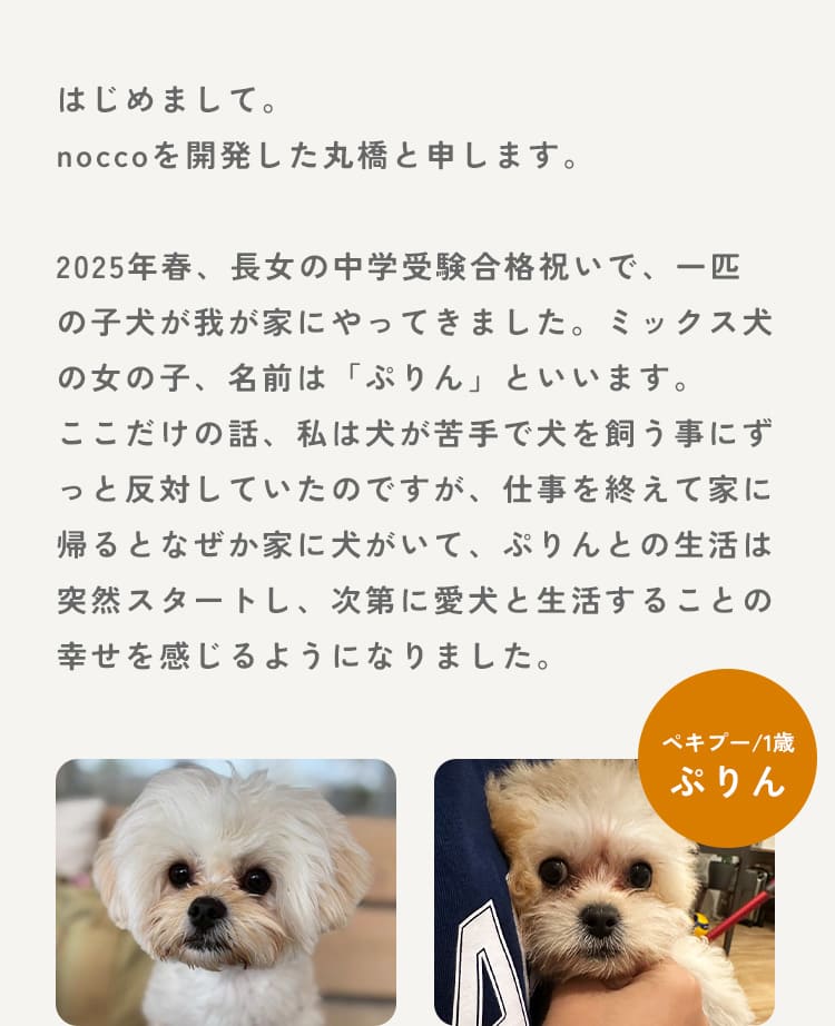 誕生秘話